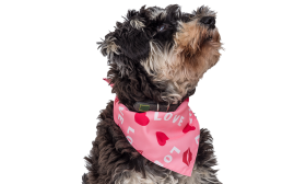 Bandana s Potiskom Love Dog