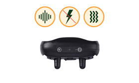 Pasja Ovratnica proti Laježu