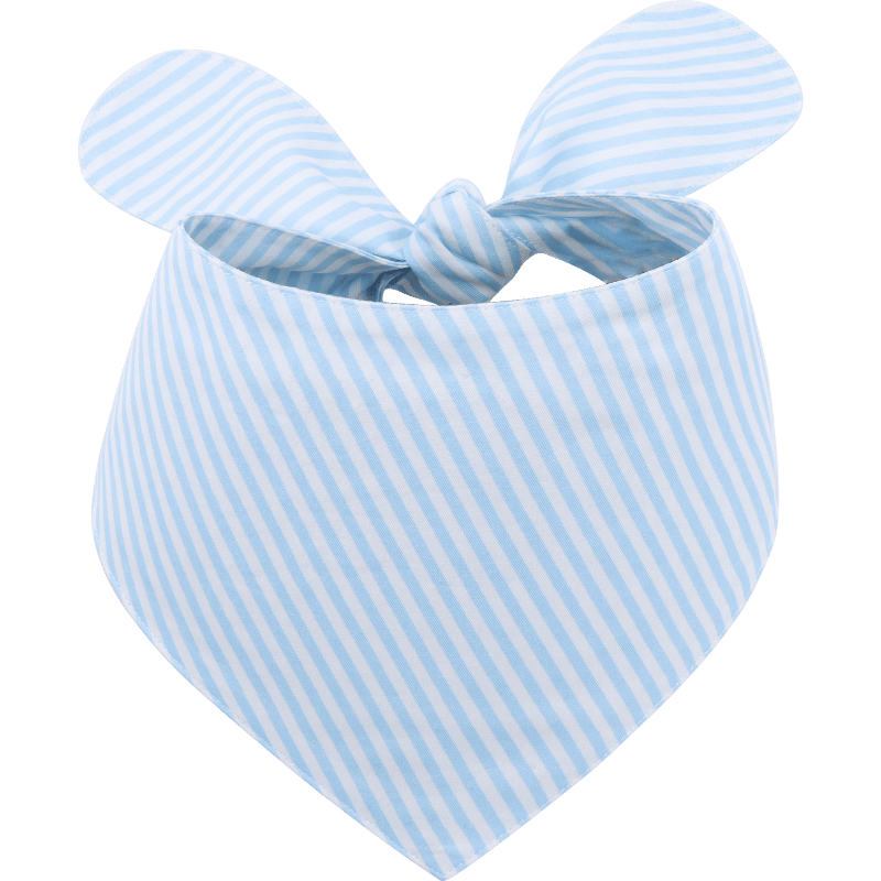 Elegantna pasja Bandana