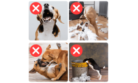 Nastavljiv Odsevni pasji Nagobčnik - zračen in udoben