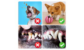 Interaktivna Žoga z Dozatorjem Posladkov – Gumijasta Pasja Igrača za Mentalno Zaposlitev