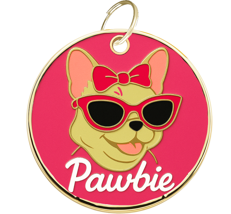 Gravirani Obeski Za Pse Pawbie