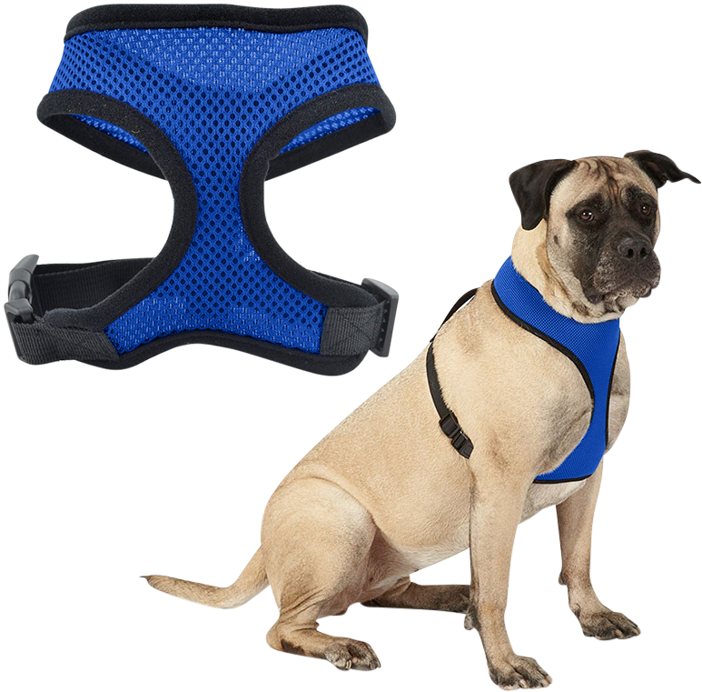 Oprsnica za Psa Harnais pour chien