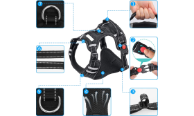 Harnais Anti-traction pour chien