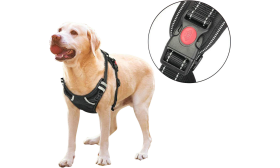 Harnais Anti-traction pour chien