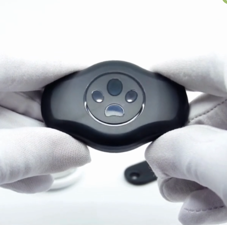 Zaščitna prevleka za pasjo ovratnico AirTag